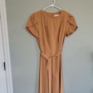Elegant Tan Dress